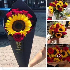 Meet your Posher, Jay